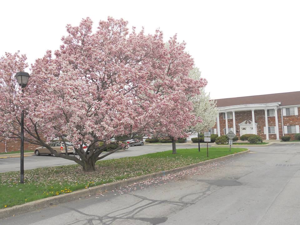 Gallery Charleston East Apartments